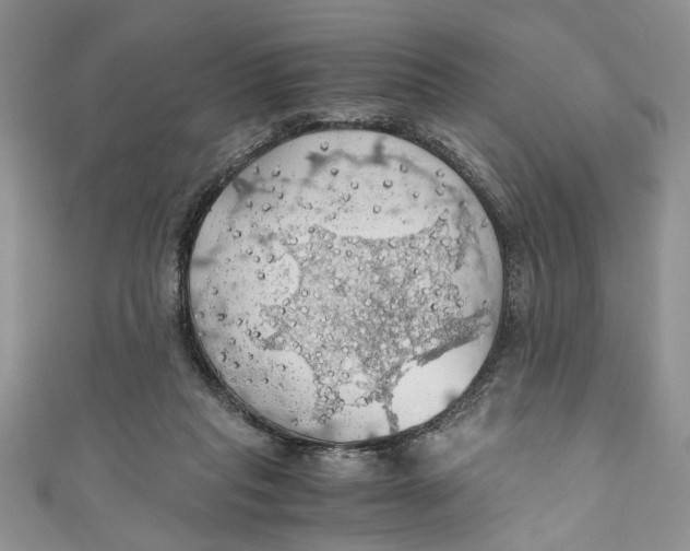 X0000111030261200907161330