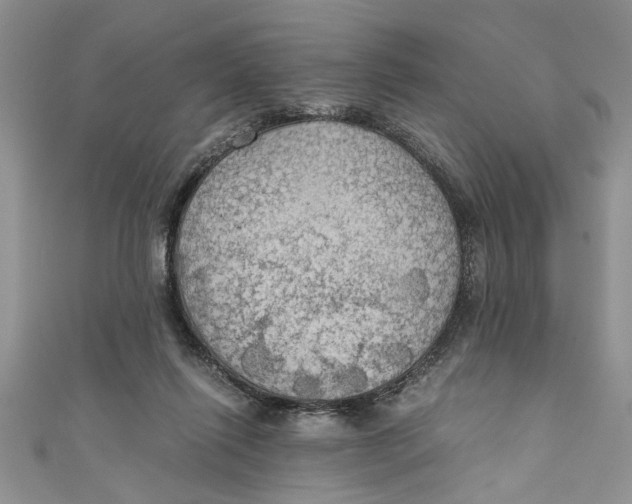 X0000111030262200907161330