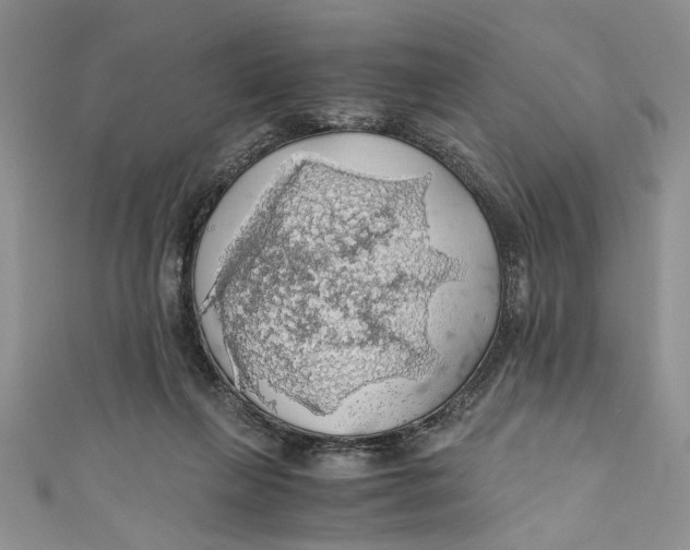 X0000111030263200907161331