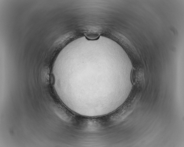 X0000111030264200907161331