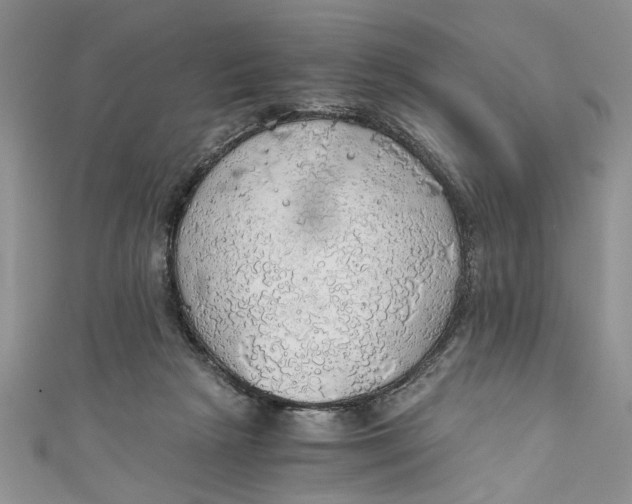 X0000111030265200907161331