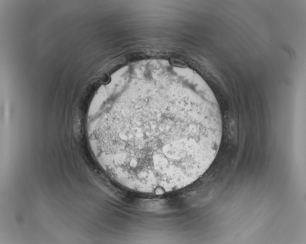 X0000111030266200907161331