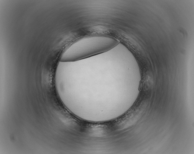 X0000111030268200907161331