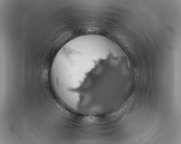 X0000111030269200907161331