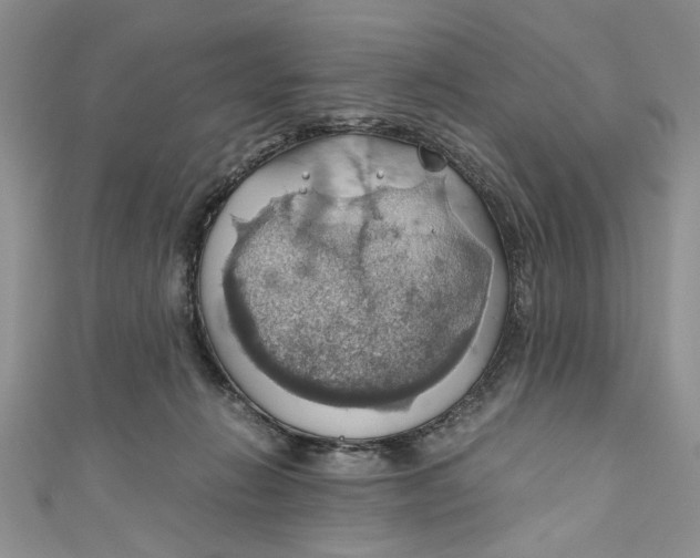 X0000111030270200907161331