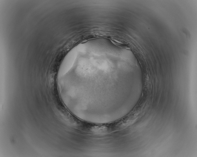 X0000111030271200907161331