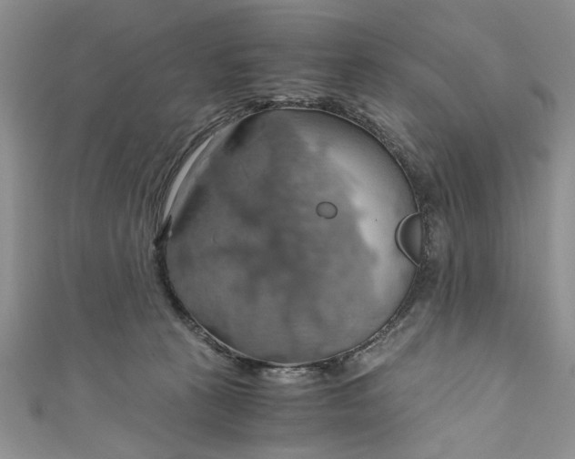 X0000111030273200907161331