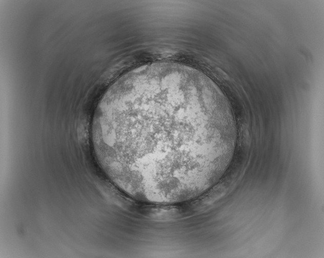 X0000111030274200907161331