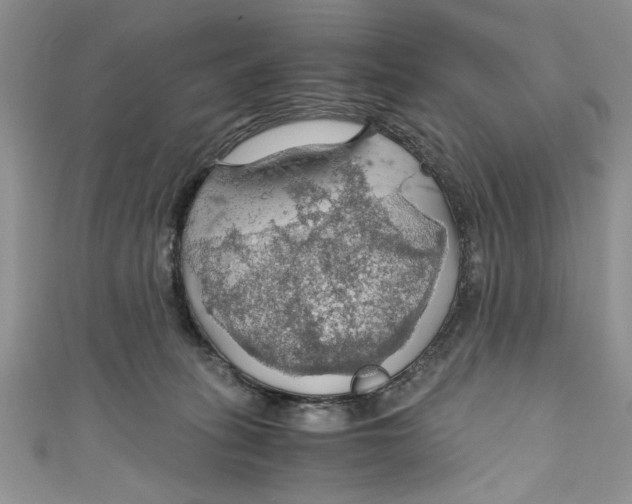 X0000111030275200907161331