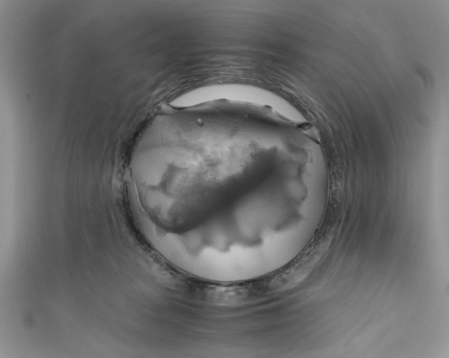 X0000111030277200907161331