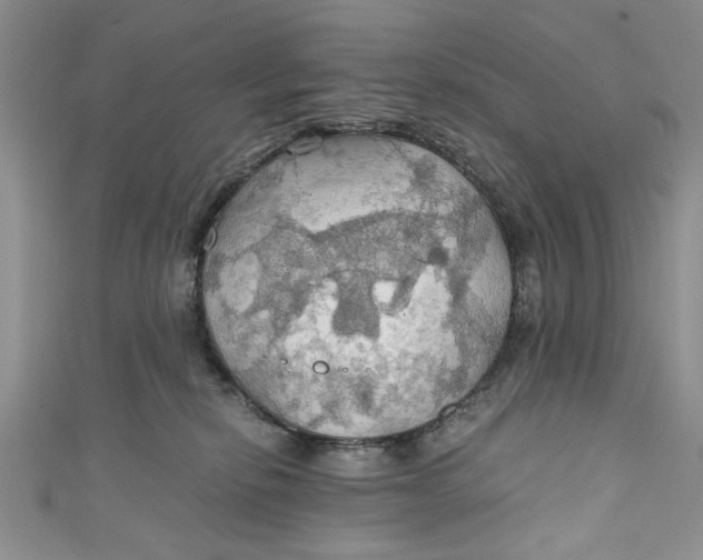 X0000111030278200907161331