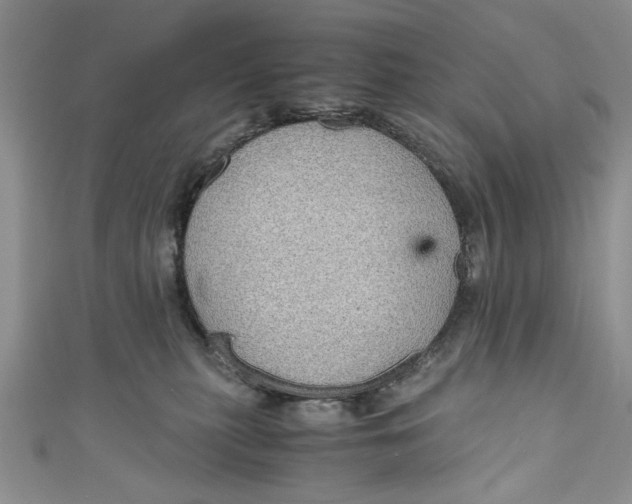 X0000111030279200907161331