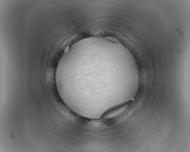 X0000111030280200907161331