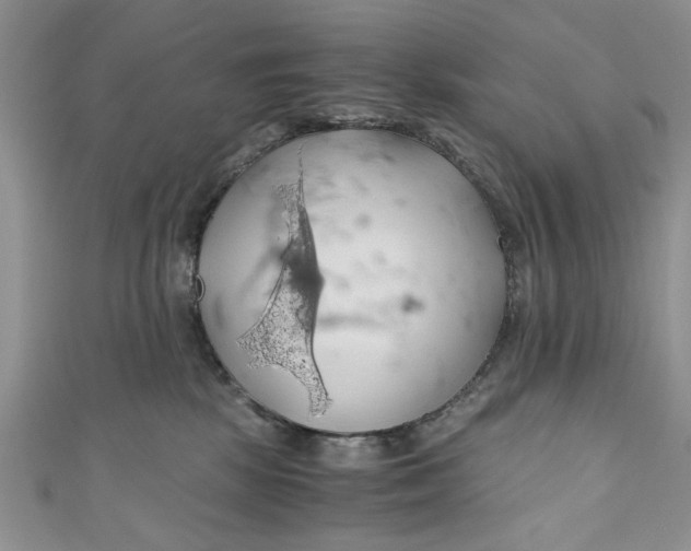 X0000111030281200907161331