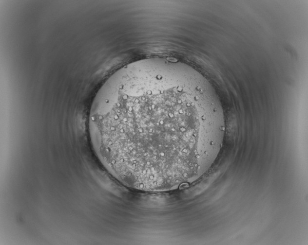 X0000111030282200907161331