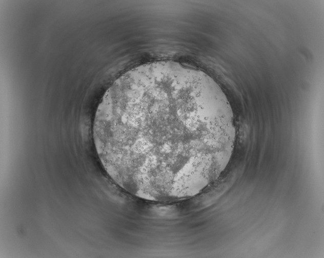 X0000111030283200907161331