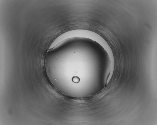 X0000111030284200907161331