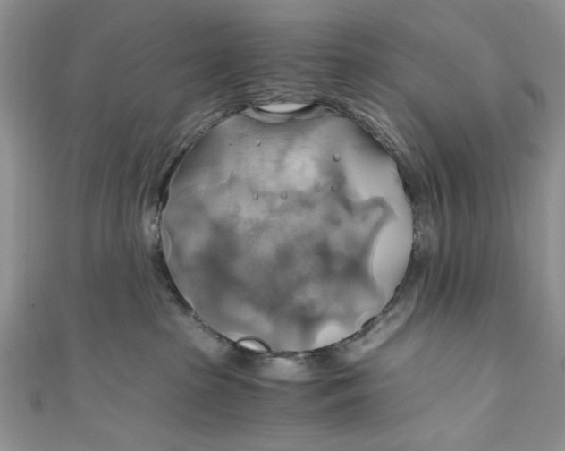 X0000111030285200907161331