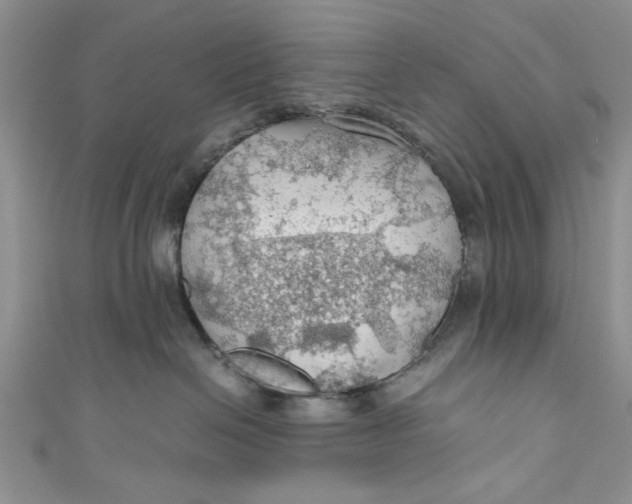 X0000111030286200907161331