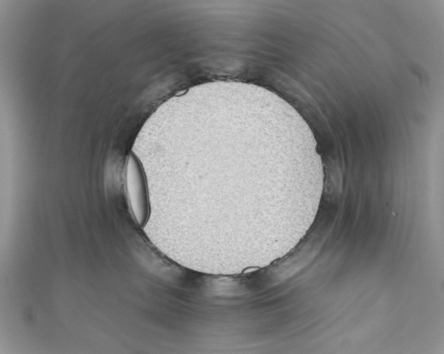 X0000111030287200907161331