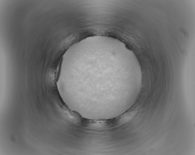 X0000111030288200907161331