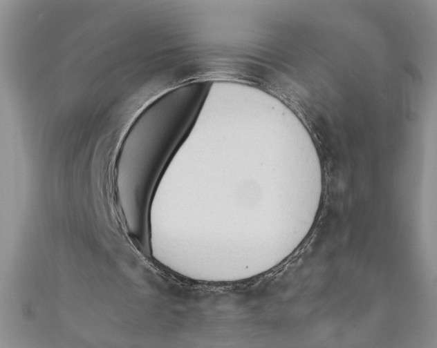 X0000111030289200907161330