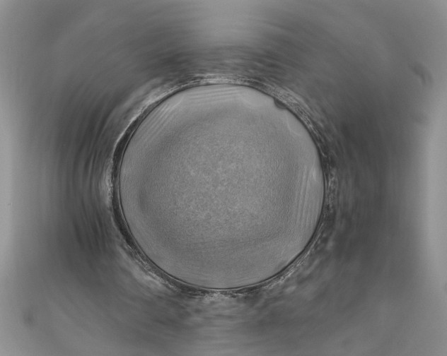 X0000111030290200907161330