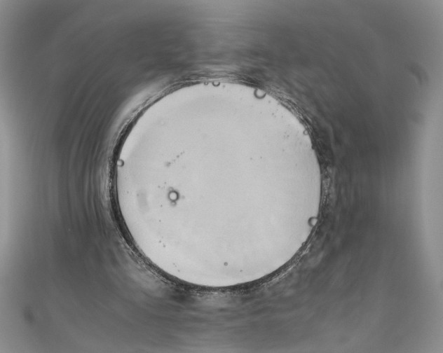 X0000111030293200907161330