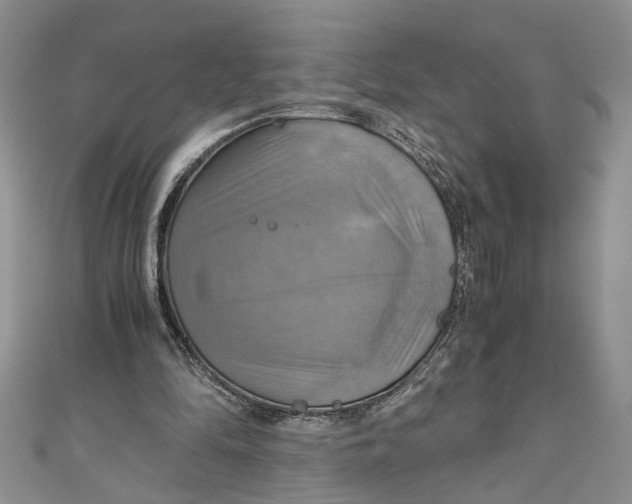 X0000111030294200907161330