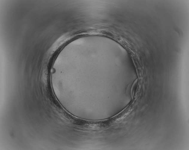 X0000111030295200907161330