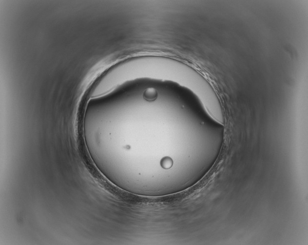 X0000111030296200907161330