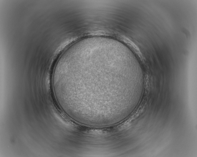 X0000111030298200907161330