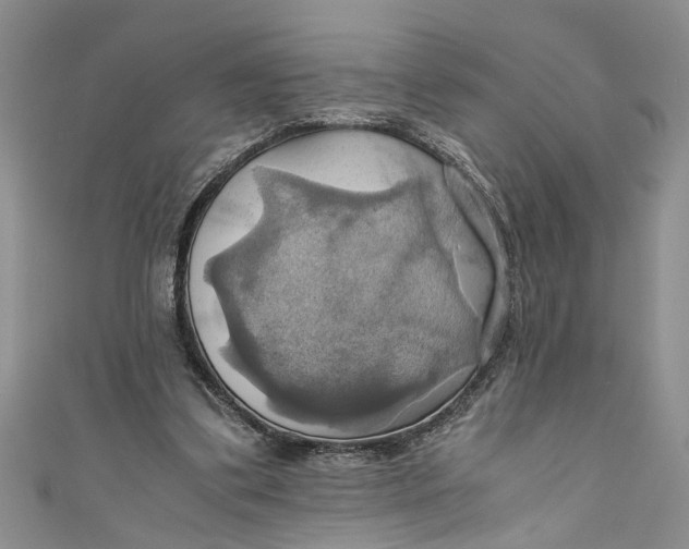 X0000111030299200907161330