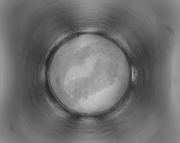 X0000111030300200907161330