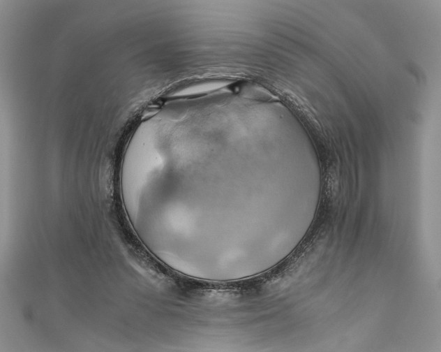 X0000111030303200907161330