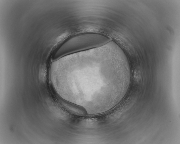 X0000111030304200907161330