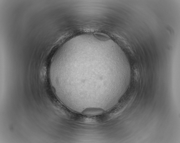 X0000111030308200907161330