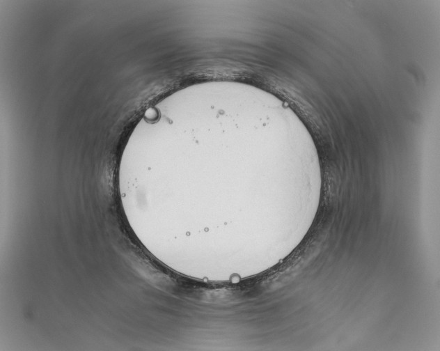 X0000111030309200907161330