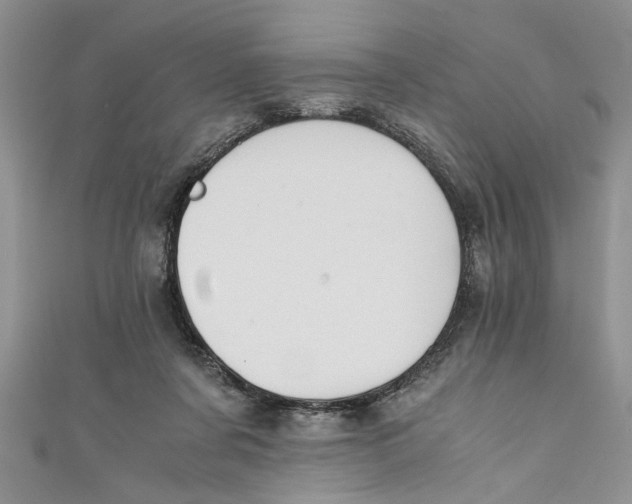 X0000111030311200907161330