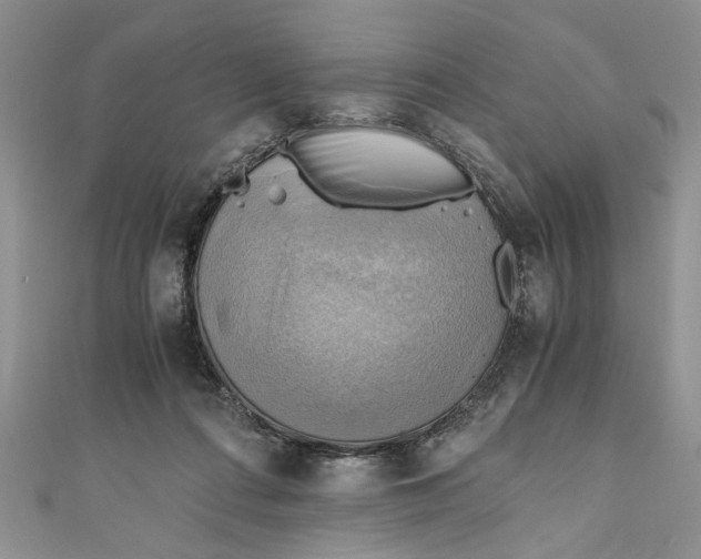 X0000111030312200907161330