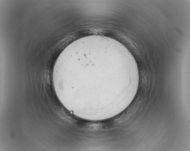 X0000111030313200907161330