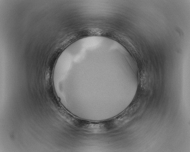 X0000111030314200907161330