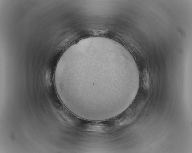 X0000111030316200907161330