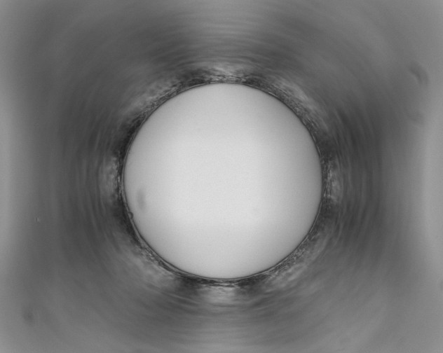 X0000111030318200907161330