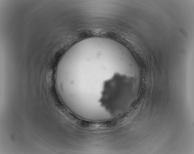 X0000111030319200907161330