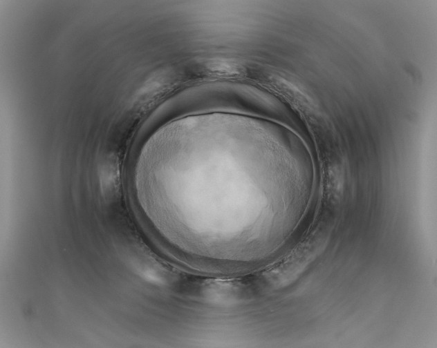 X0000111030320200907161330