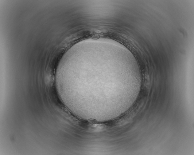 X0000111030324200907161330