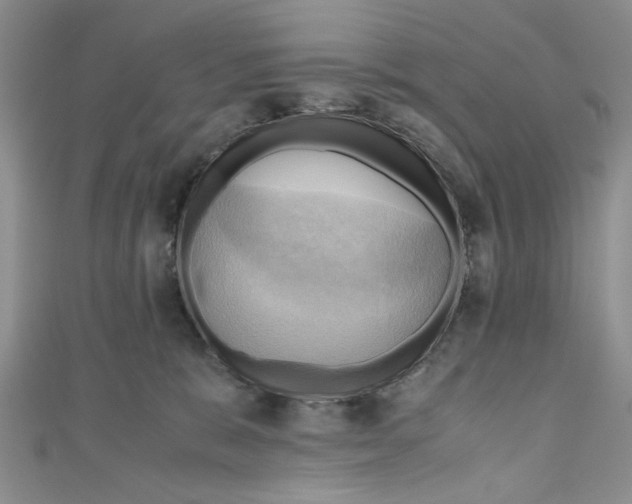 X0000111030327200907161330