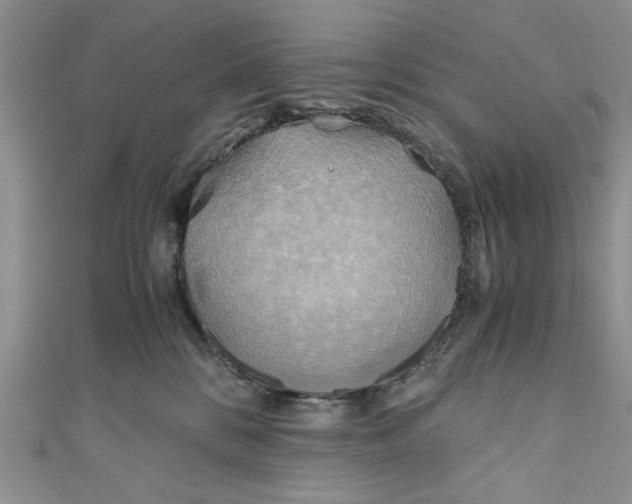 X0000111030328200907161330