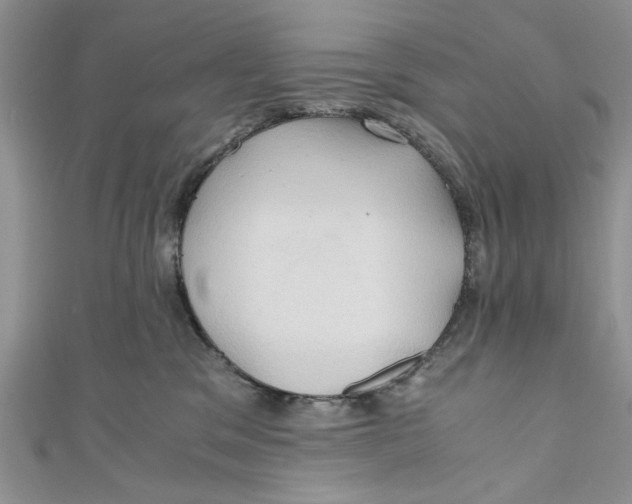 X0000111030329200907161330